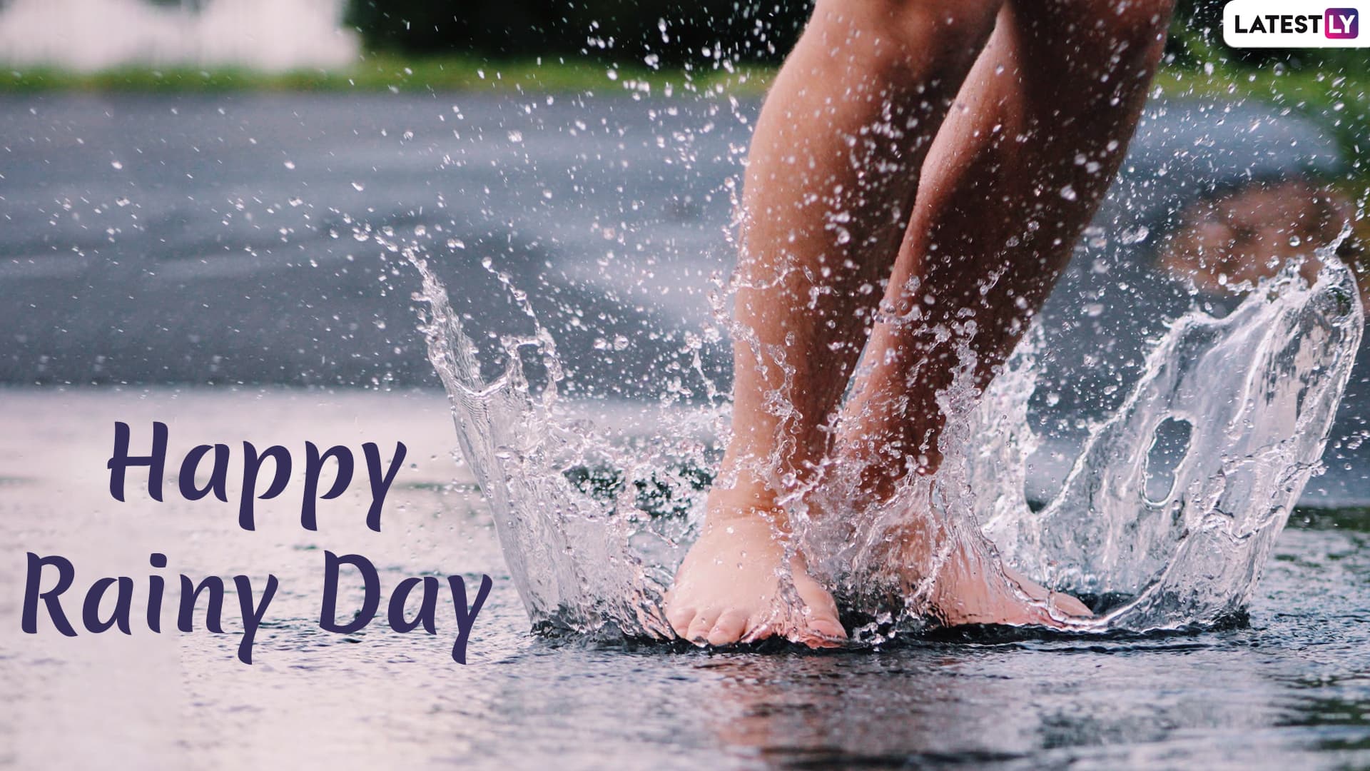 happy rainy day hd wallpapers