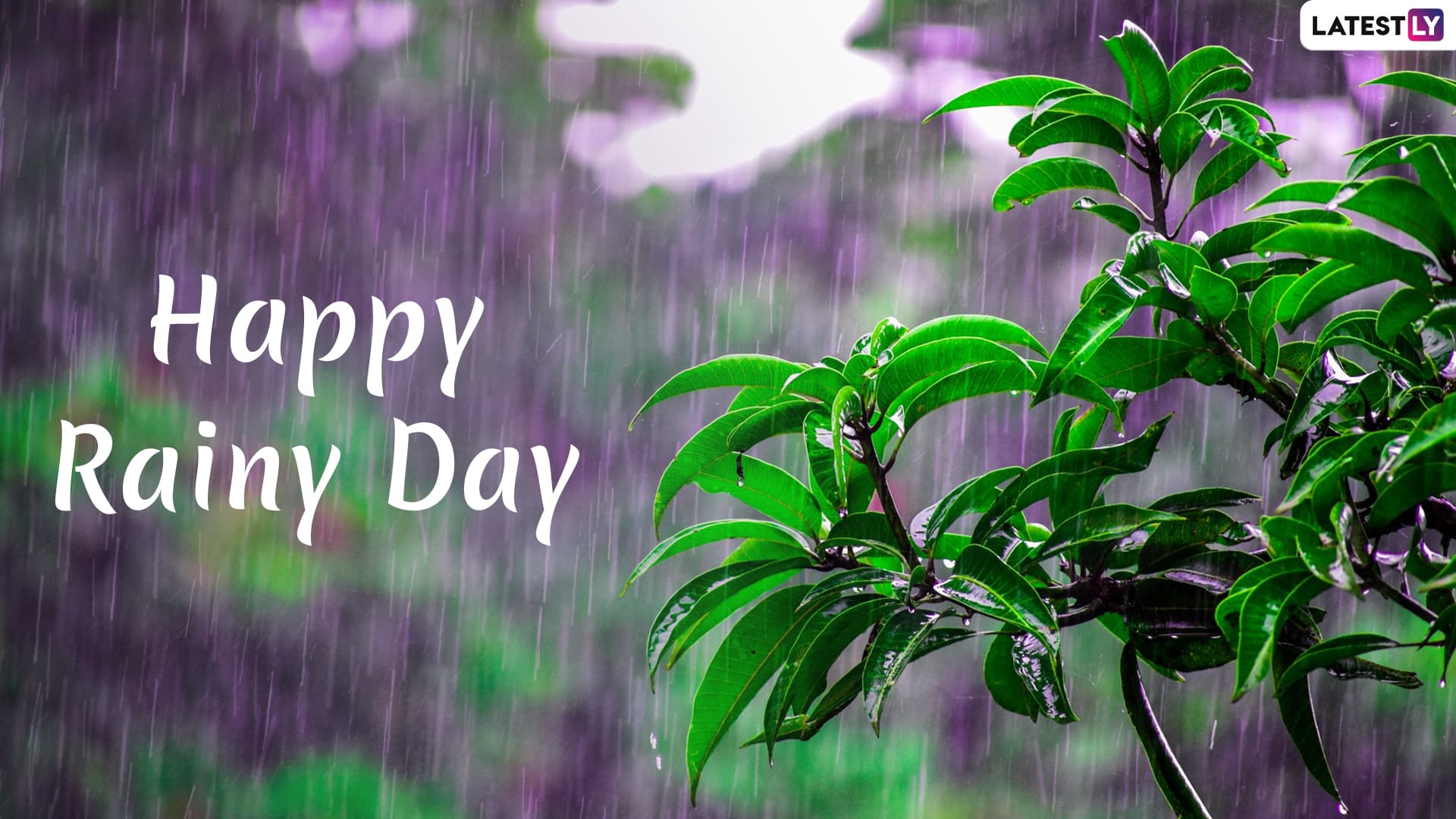 happy raining wallpaper