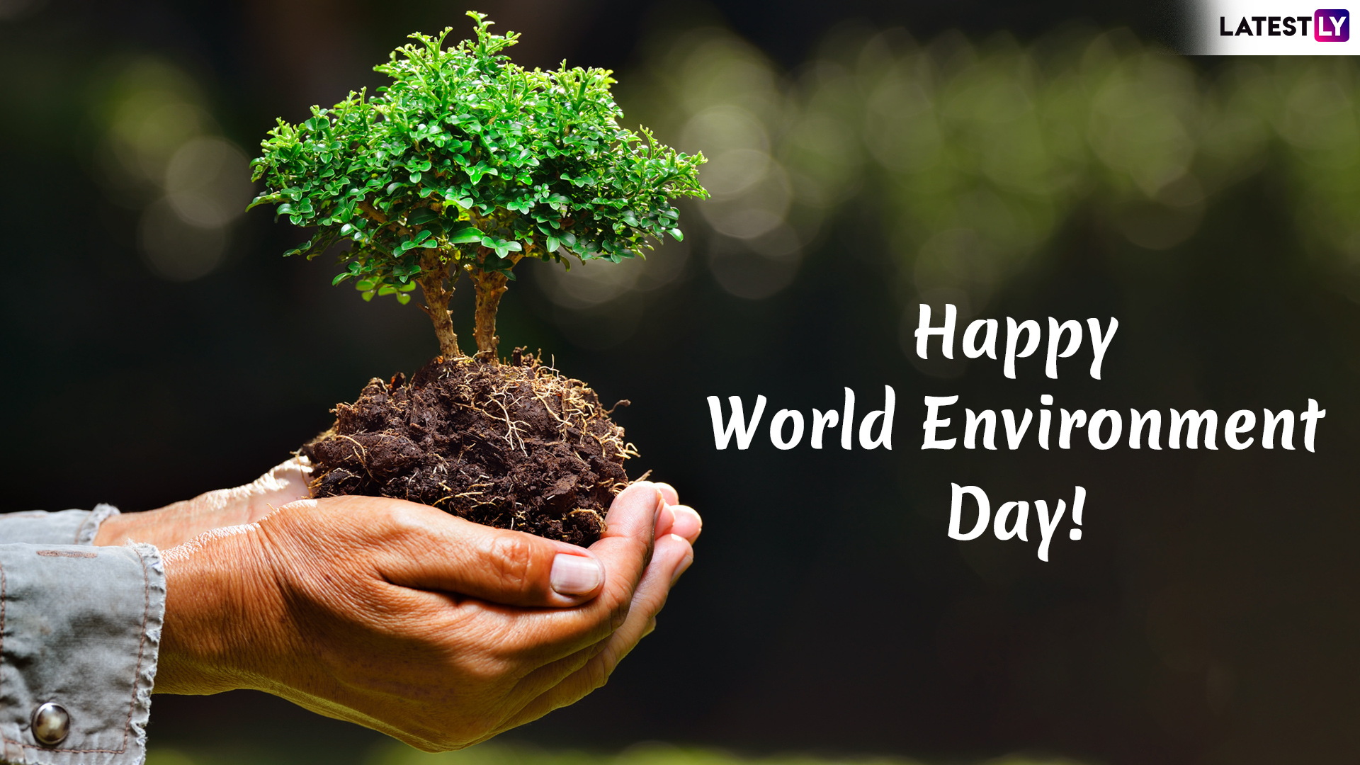 Happy World Environment Day 2020 Quotes and WED Wishes: WhatsApp Stickers,  Slogans, GIF Images, SMS and Messages to Wish Everyone on Vishwa Paryavaran  Diwas! | 🙏🏻 LatestLY