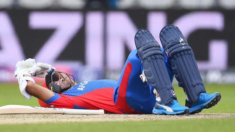 Hashmatullah Shahidi Hit on Head by Mark Wood's Bouncer, Batsman Goes on to Post Fifty During ENG vs AFG Match CWC 2019