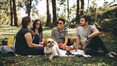 International Picnic Day 2019: Date and Significance of the Day That Encourages You to Take a Break