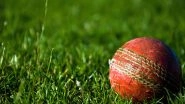 Cricketer Dies After Getting Hit by Ball on Neck During Match in Kashmir