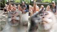 Monkey Photobombs Family's Vacation Picture in Bali And Gives Them a Middle Finger (Watch Hilarious Video)