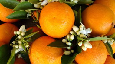 National Orange Blossom Day 2019: Know About the Day That Highlights Benefits of Both Flower and the Citrus Fruit