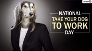 National Take Your Dog to Work Day 2019: Know The Date, History and Significance of The Day