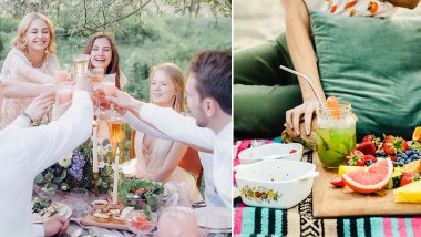 National Picnic Day 2020: Creative and Genius Ways to Have the Perfect Home Picnic During Lockdown