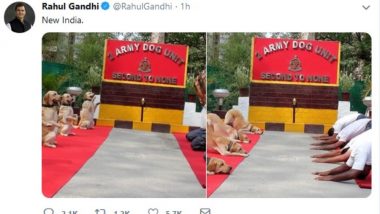 Rahul Gandhi Shares Photo of Indian Army Dogs Doing Yoga, Calls it 'New India'; Gets Slammed on Twitter