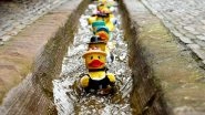 Curious Case of Rubber Ducks! 29,000 Bath Toys Lost at Sea Are Helping Scientists Understand Ocean Current!