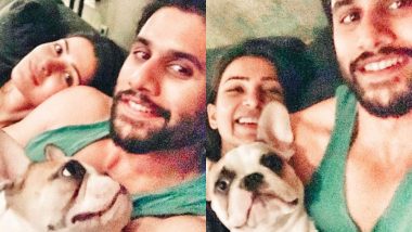 Samantha Akkineni And Naga Chaitanya's Sunday Involved Their Cute Doggo, Hash, Making Amusing Expressions - View Post