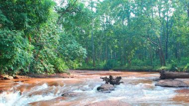 Environment Ministry Reviews Iron Ore Mining Proposal in Saranda Elephant Reserve, Two Years After Rejecting It