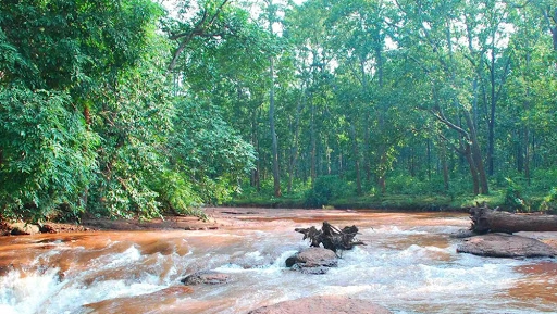 Environment Ministry Reviews Iron Ore Mining Proposal in Saranda Elephant Reserve, Two Years After Rejecting It