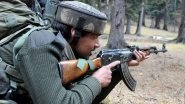 Jammu and Kashmir: Over 100 Militants Killed by Security Forces in the Valley Till May 31