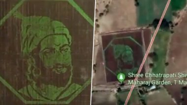 Chhatrapati Shivaji Maharaj Farm Painting From Grass in Latur Goes Viral, Watch Spectacular Video of a Tribute to Great Maratha King