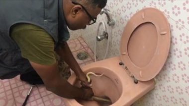Cobra At Home! Bengaluru Man Wakes Up To Find Gigantic Snake in Toilet Bowl; Watch Video