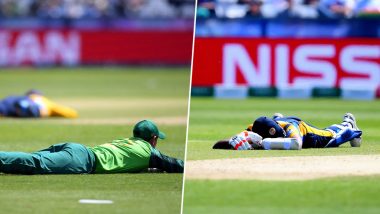 CWC 2019: Bee Attack Force Players and Umpires to Lie Flat on Ground During SL vs SA Game; Twitterati Comes Up With Funny Reactions