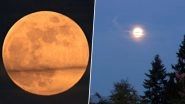 Strawberry Moon 2019 Graces Skies; Know Date and Time of June's Full Moon in Different Parts of World, View Pics!