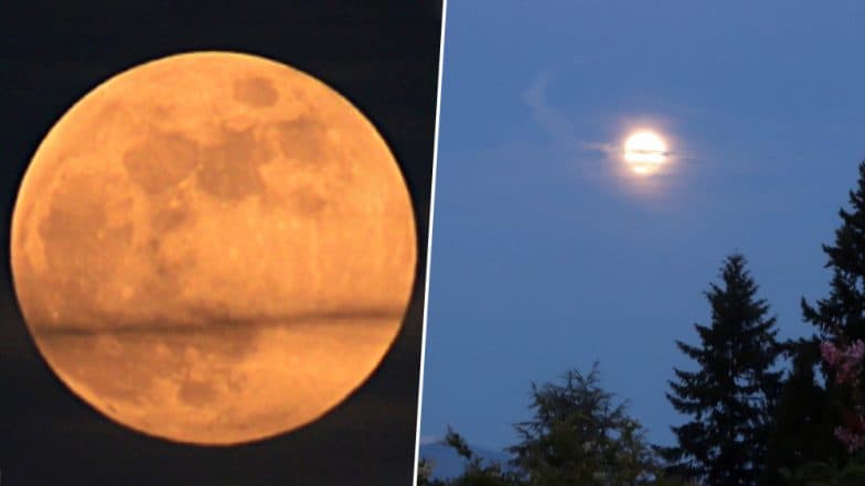 Strawberry Moon 2019 Graces Skies; Know Date and Time of June's Full Moon in Different Parts of ... Strawberry Moon 2019 Graces Skies; Know Date and Time of June's Full Moon in Different Parts of ...