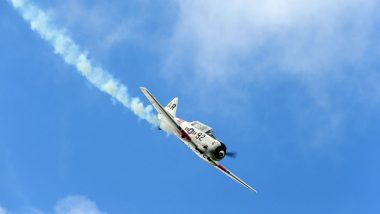 Poland: Stunt Pilot Killed After His Plane Plunges into Polish River