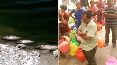Tamil Nadu Water Crisis: Residents Buy Tokens for Water, Fishes Die in Selva Chinthamani Lake