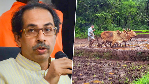 Uddhav Thackeray Sees Huge Scam in Agrarian Sector in Maharashtra, Threatens to 'Bring Down Their Shutters If Needed'