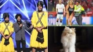 Viral Videos: #WeTheNipple Campaign, Kinsey Wolanski, Bir Khalsa Group on AGT, Watch Top Clips of the Week