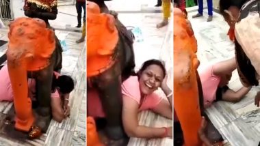 Woman Gets Stuck Beneath Elephant Statue at Gujarat Temple; Funny Video Impresses Netizens