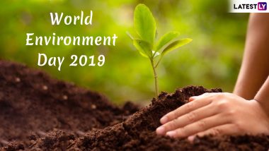 World Environment Day 2019 Greetings And Messages: WhatsApp Stickers, Facebook Quotes, GIF Image Greetings To Mark The Day To Save Planet Earth