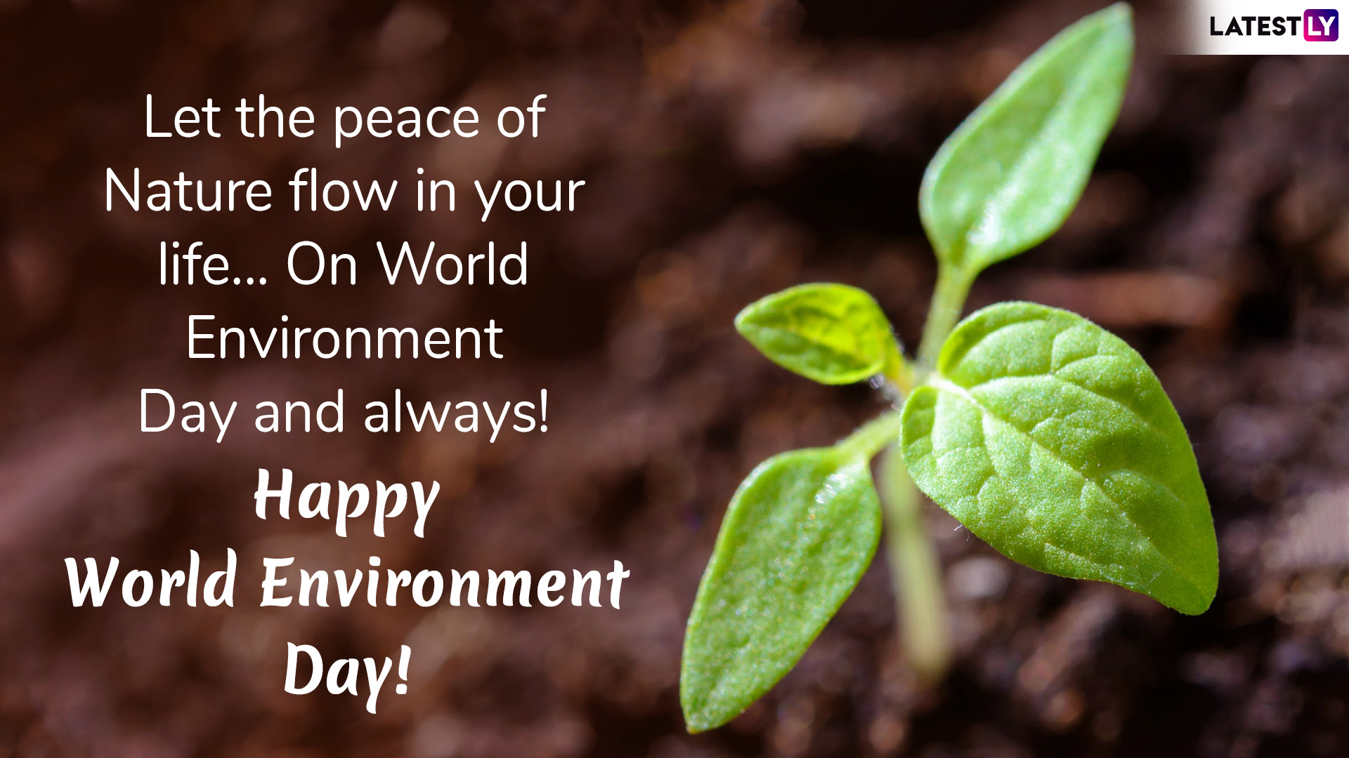 Happy World Environment Day 2020 Quotes and WED Wishes: WhatsApp