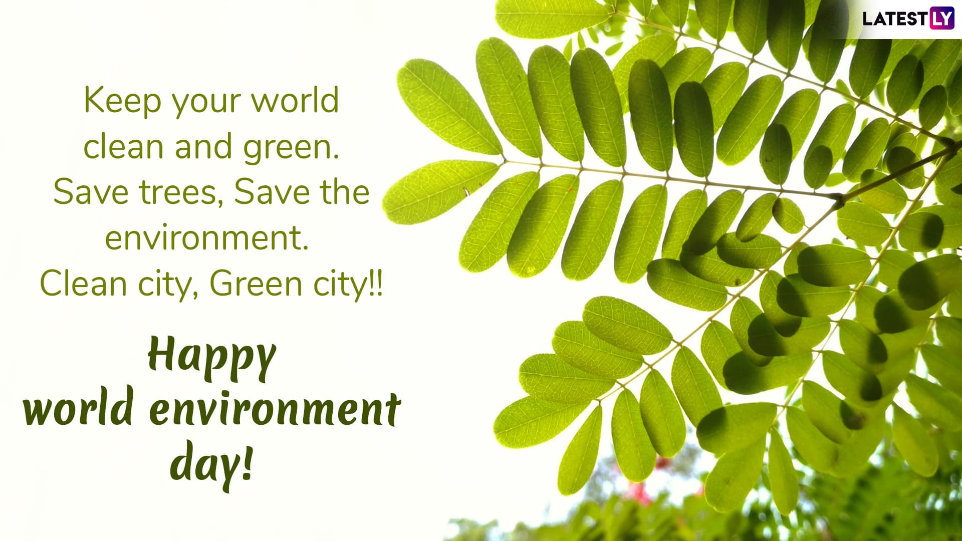 Happy World Environment Day Quotes And Wed Wishes Whatsapp Stickers Slogans Gif Images Sms And Messages To Wish Everyone On Vishwa Paryavaran Diwas Latestly