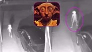 Dobby, the House Elf-Like Creature Spotted in a Driveway! Who Is Dobby? Watch Viral Video Which Has Left Every Potterhead Asking for More!