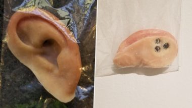 Missing Ear Found at Florida Beach Will Be Returned to the Owner Thanks to the Internet