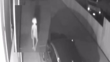 Security Camera Captures Elf Like Creature, Video Goes Viral