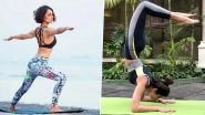 International Day of Yoga 2019: Kangana Ranaut, Shilpa Shetty, Alia Bhatt & Others Who Love Yoga