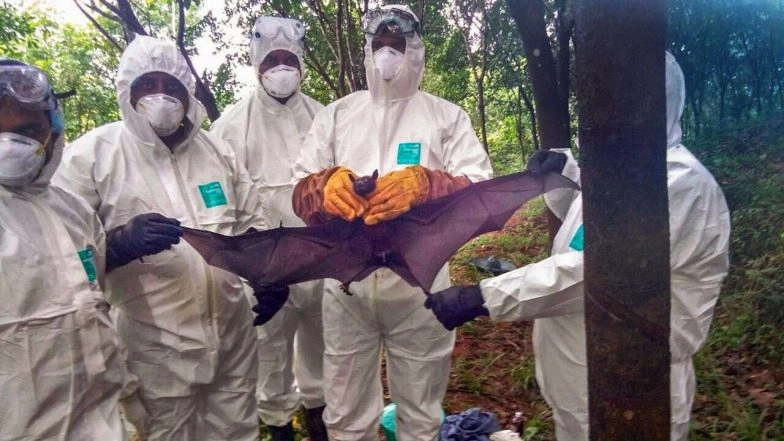Nipah Virus: Alert in 8 Karnataka Districts