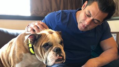 Salman Khan’s Shares the Picture With His BullDog and We Can’t Decide Who’s Cuter