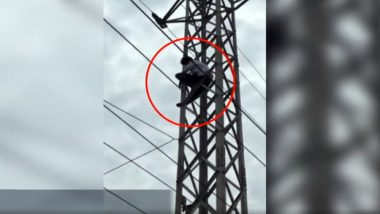 Telangana: Man Climbs Electric Pole After Police Calls Him for Investigation