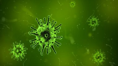 Nipah Virus in Kerala: 2 Health Workers Show Nipah Virus Symptoms in Kozhikode