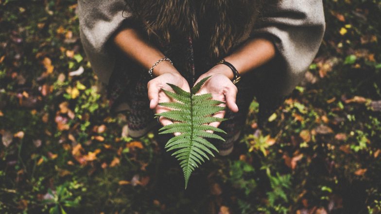 World Environment Day 2019 Theme: Host Country, History, Significance, Slogan and Reason Why We Celebrate WED!