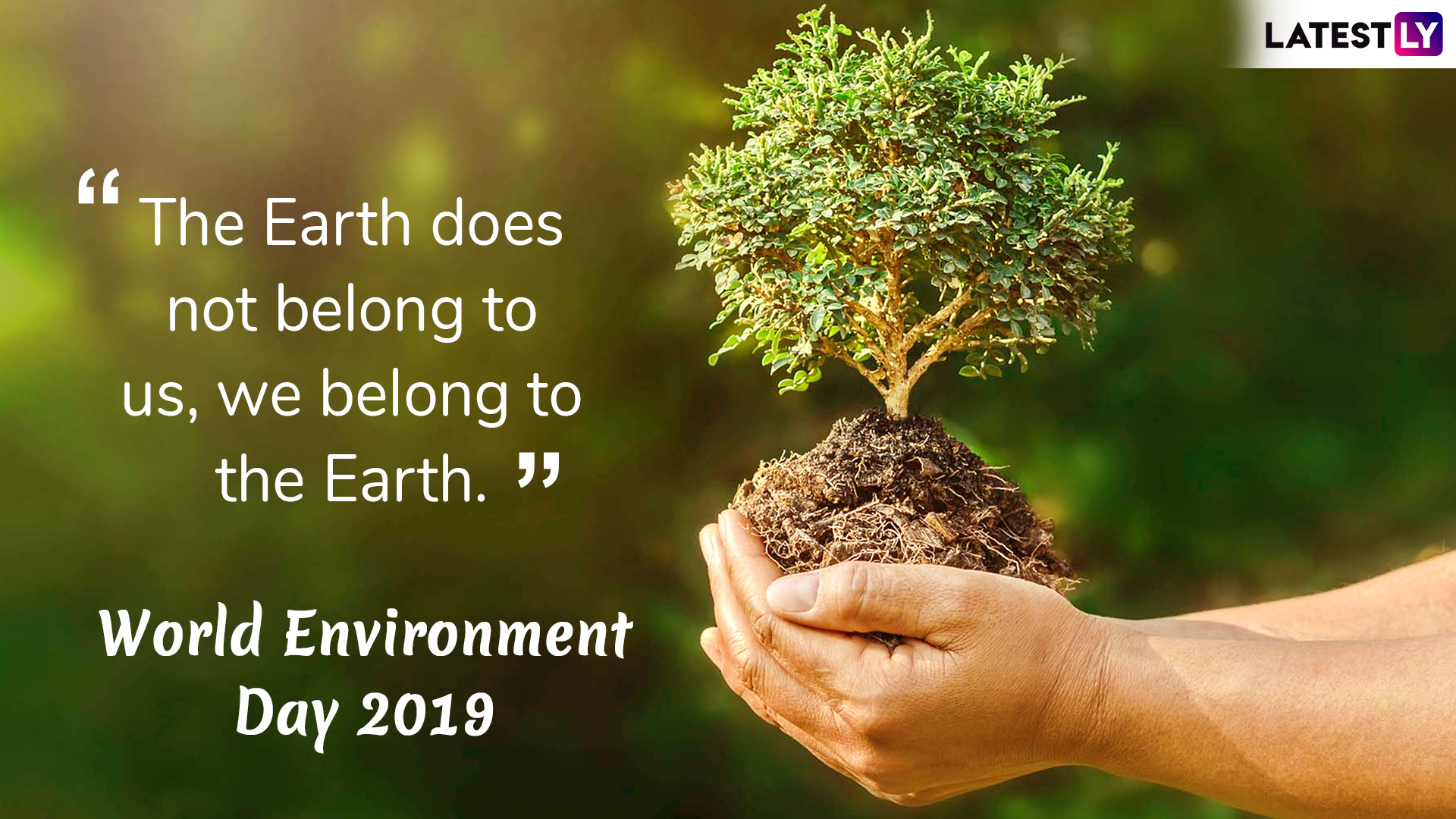 world environment day 2019 message and image 1