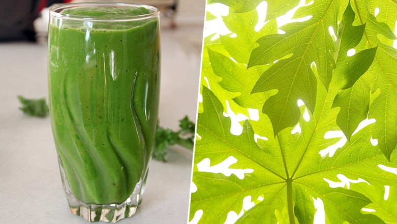 How to make Papaya Leaf juice for Dengue