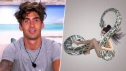 Love Island Star Chris Taylor Blows Twitter After Confessing &lsquo;Anaconda Sex Position&rsquo; As His Favourite; Everything You Want to Know About the Violent Way to Have Intercourse (Watch Video)