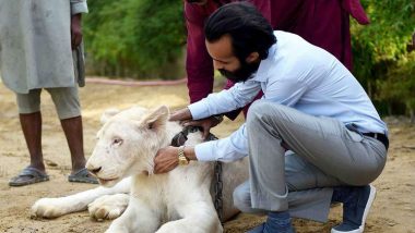 Big Cats of Instagram: Pakistani Elite’s Love of Exotic Wildlife