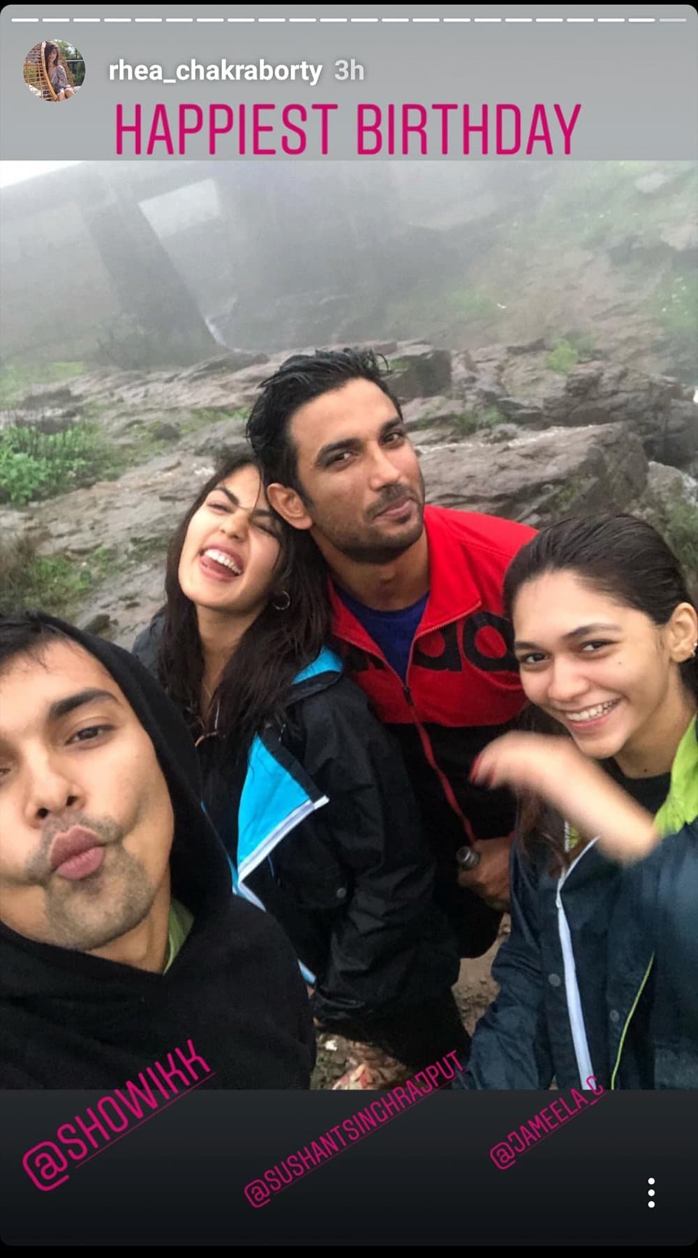 Rhea Chakraborty and Sushant Singh Rajput enjoying her birthday.