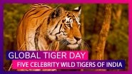 International Tiger Day 2019: Meet India&rsquo;s Famous Wild Tigers On Global Tiger Day