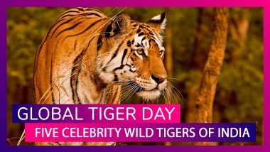 International Tiger Day 2019: Meet India’s Famous Wild Tigers On Global Tiger Day