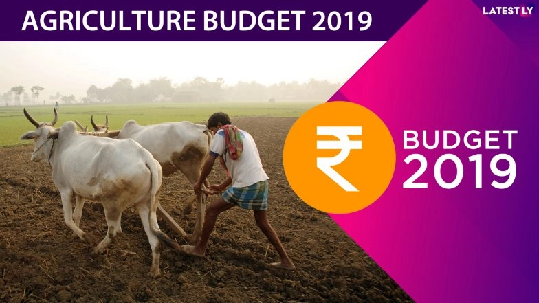 Agriculture Budget 2019: Nirmala Sitharaman Announces Zero Budget Farming, Jal Jivan Mission for Agrarian Sector Revival And Doubling Farmers' Income