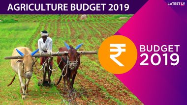 Agriculture Budget 2019: Nirmala Sitharaman Announces Zero Budget Farming and Jal Jivan Mission