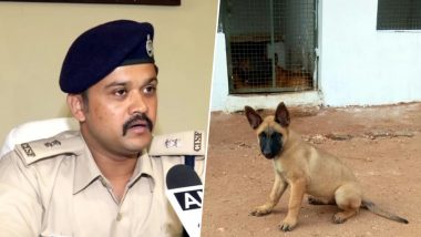 Belgian Malinois Dog 'Khoj' Joins The CISF Security Fold, Breed Also Part of US Navy Seal Costs Rs 1.5 Lakh For Each Dog