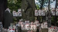 Tokyo Has a Cat Temple! Check Out Pictures of 10,000 'Lucky Cats' Beckoning Visitors at Japan's Gotokuji Temple