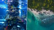 As Australia's Great Barrier Reef Loses It's Coral Cover, Here Are 6 Ways to Save the Reef System